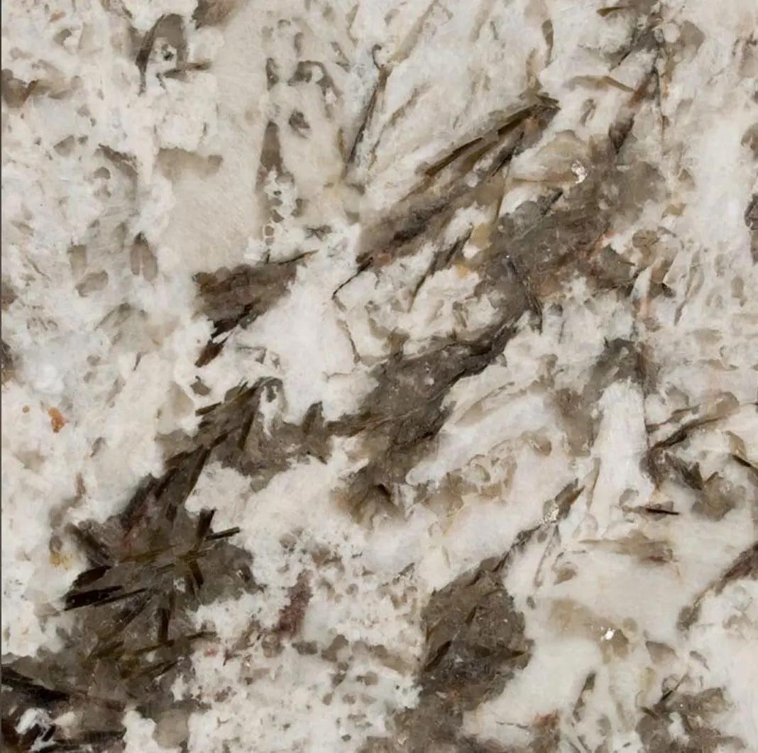 Bianco Antico