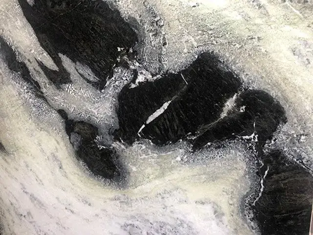 Orca