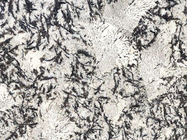 White Orion Granite Slab Sample